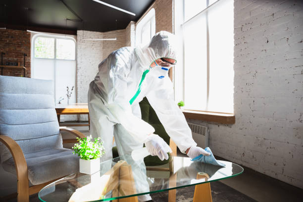 Why You Should Choose Our Mold Remediation Services in Celina, TX