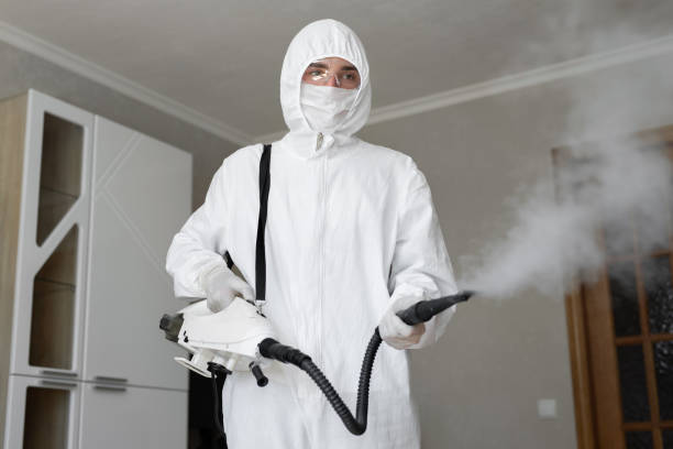 Trusted Celina, TX Mold Removal Experts